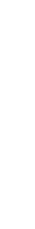 そんなヴィルゴです。